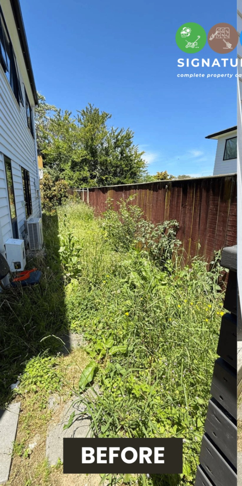 Side Yard Reset in Auckland — before