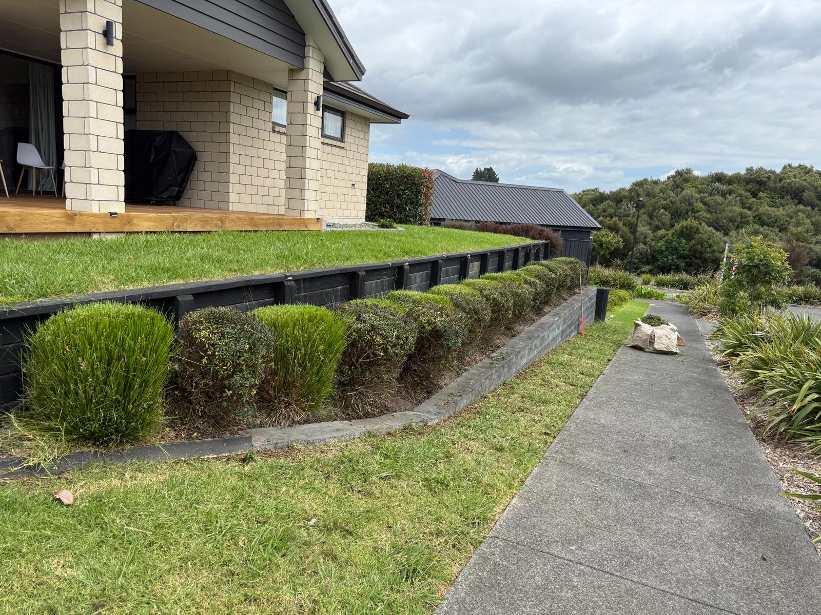 Hedge Trimming in Auckland — after