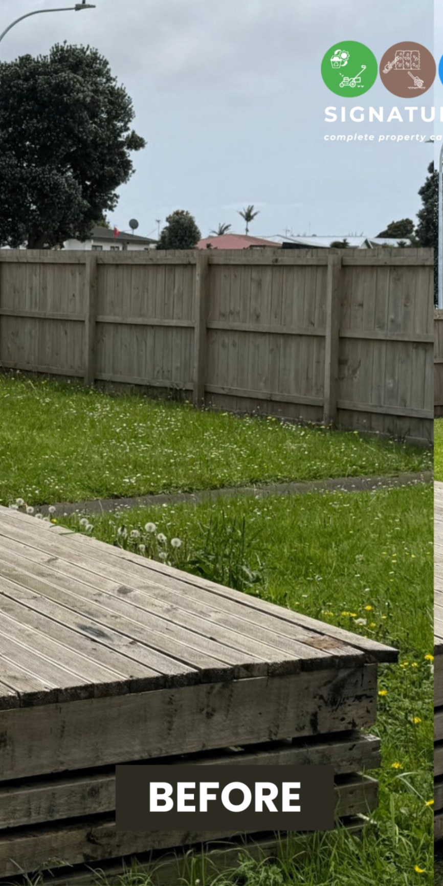 Lawn Mow & Edge in Auckland — before