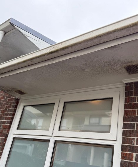 Exterior House & Window Wash in Manurewa — before
