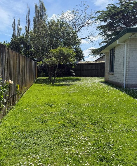 Lawn Mowing in Papatoetoe — before