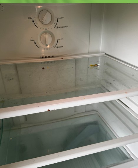 End of Tenancy — Fridge in Otahuhu — before