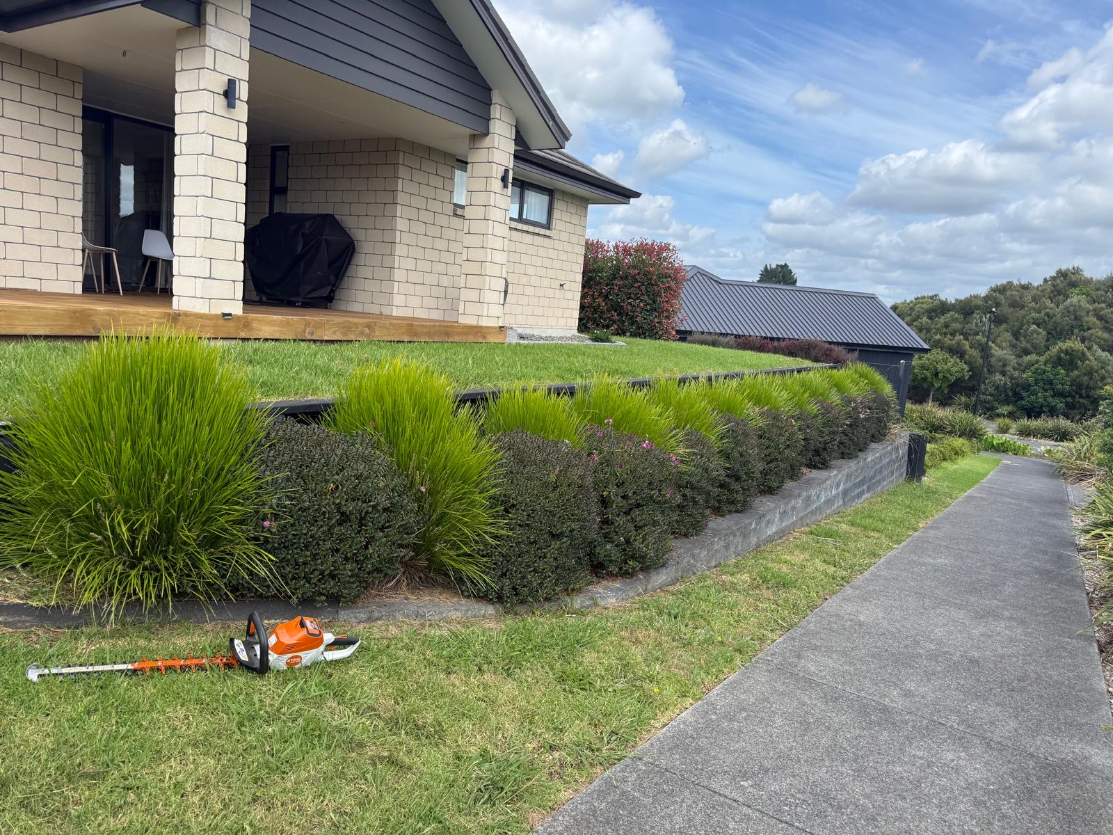 Hedge Trimming in Auckland — before