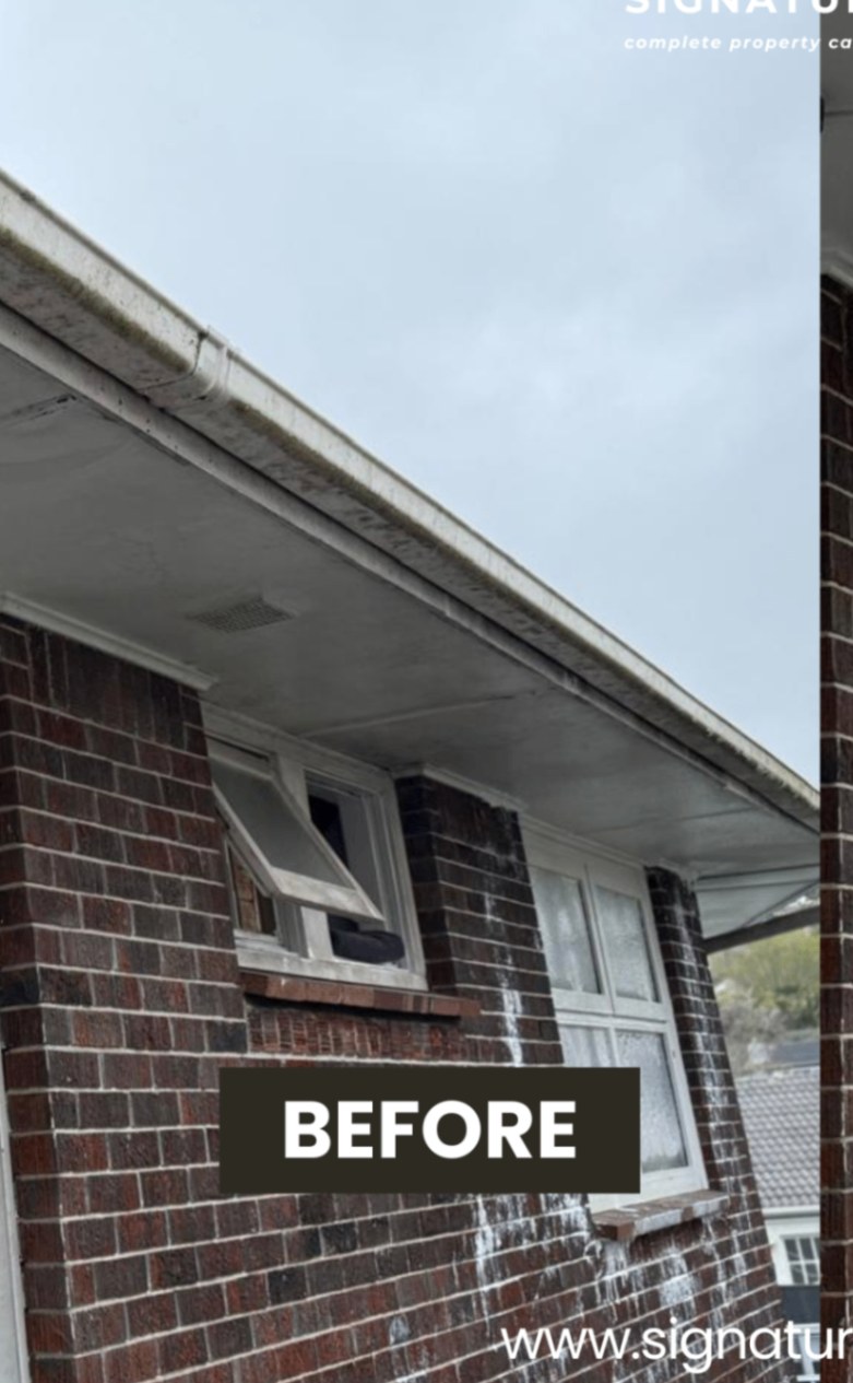 Gutter & Soffit Wash in Auckland — before