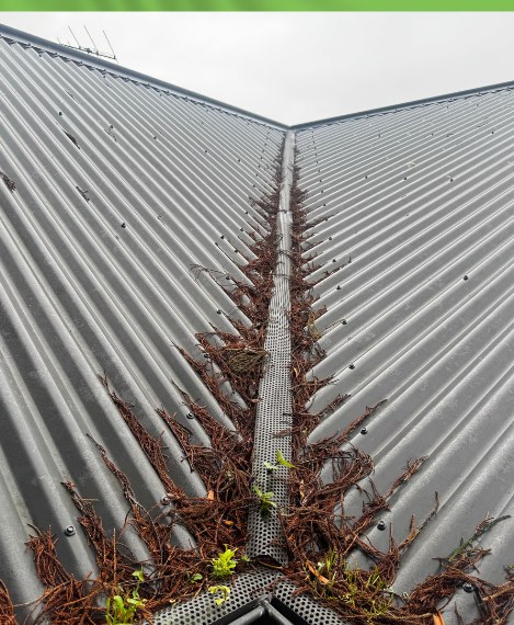 Roof & Gutter Clean in Manurewa — before