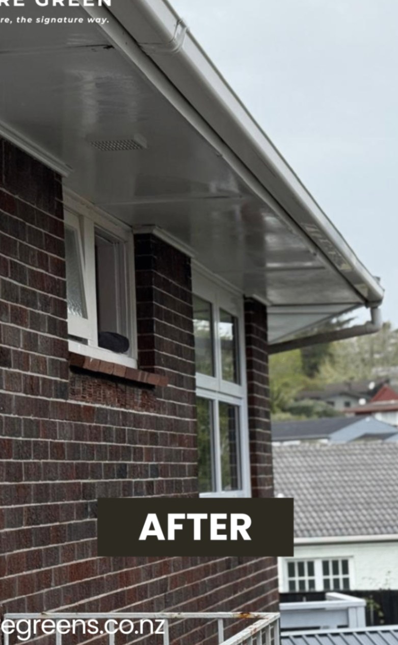Gutter & Soffit Wash in Auckland — after