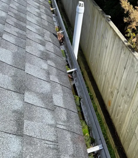 Before driveway & path cleaning auckland by Signature Greens