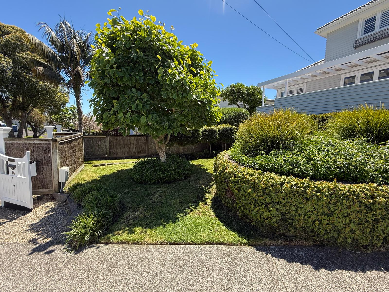 Lawn & Garden Maintenance — Signature Greens Auckland